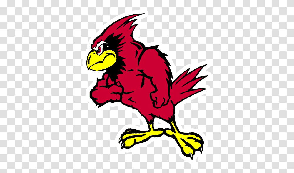 Benton St Joseph Benton Cardinals, Animal, Bird, Eagle, Logo Transparent Png