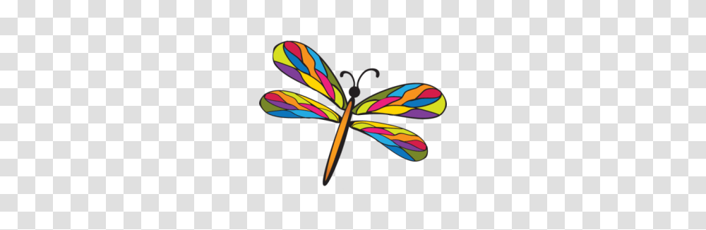 Bereavement Support Group Shuswap Hospice Society, Insect, Invertebrate, Animal, Dragonfly Transparent Png
