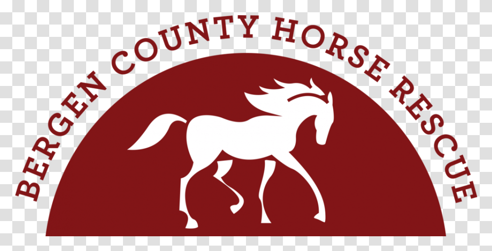 Bergen County Horse Rescue Bergen County Horse Rescue, Mammal, Animal, Text, Poster Transparent Png