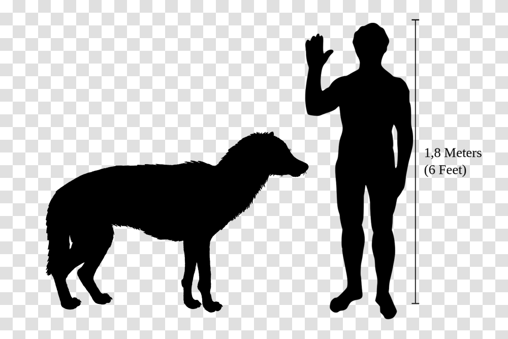 Beringian Wolf Size, Silhouette, Stencil, Cross Transparent Png