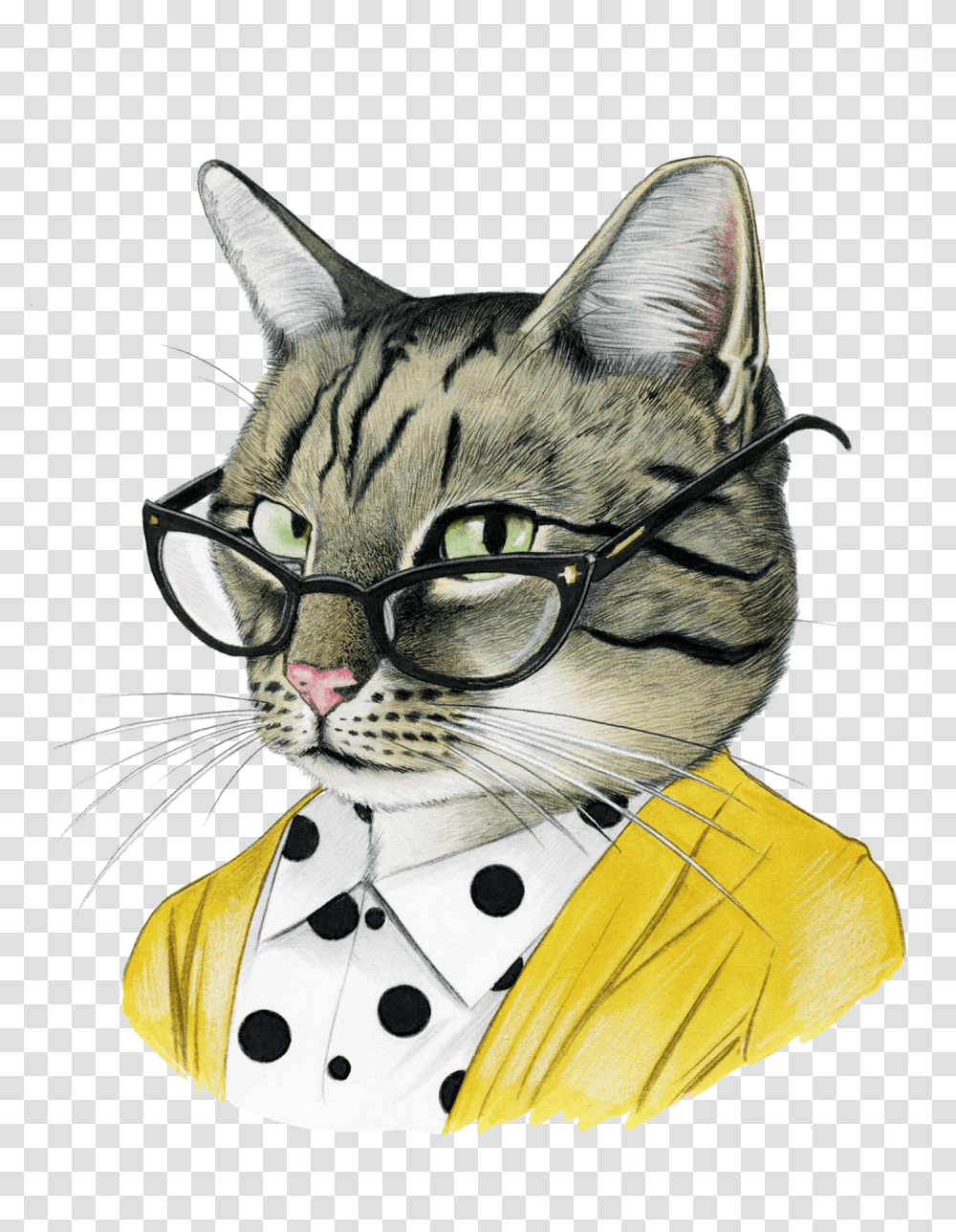 Berkley Illustrations, Pet, Animal, Cat, Mammal Transparent Png