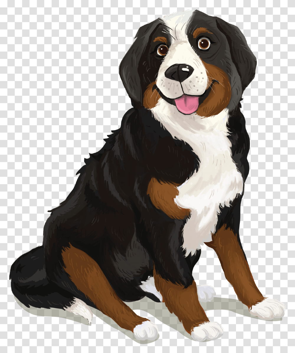 Bernese Mountain Dog, Appenzeller, Pet, Canine, Animal Transparent Png