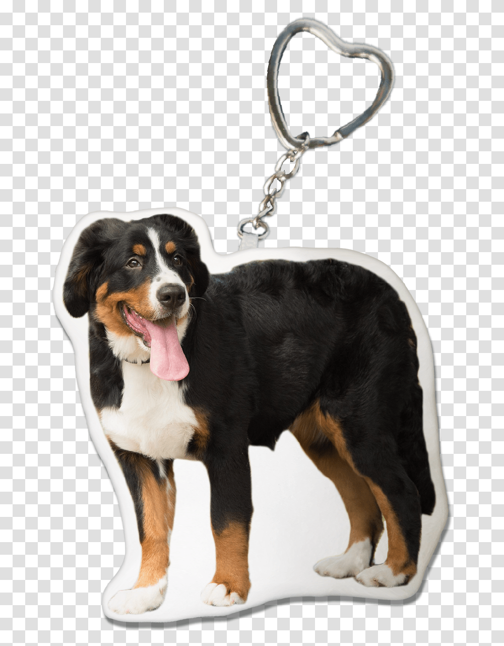 Bernese Mountain Dog Keychain Bernese Mountain Dog, Pet, Canine, Animal, Mammal Transparent Png