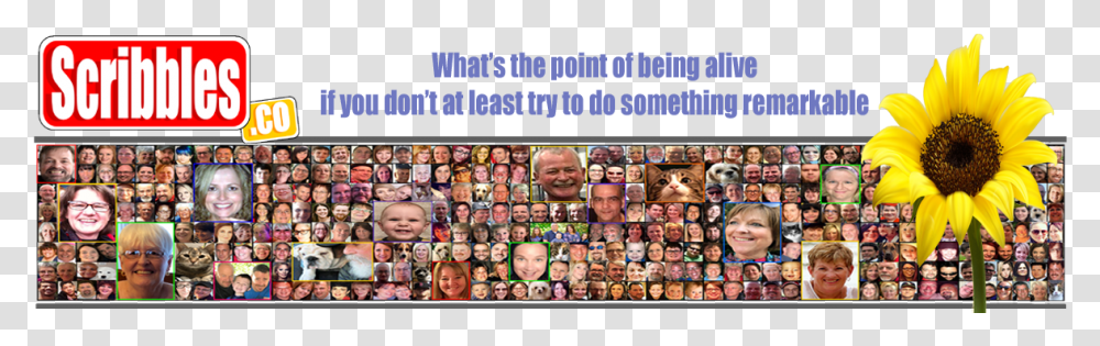 Bernie Says Think Before You Drive, Collage, Poster, Advertisement, Head Transparent Png