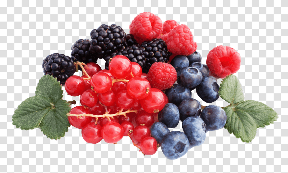 Berries 1 Image Berries, Plant, Blueberry, Fruit, Food Transparent Png