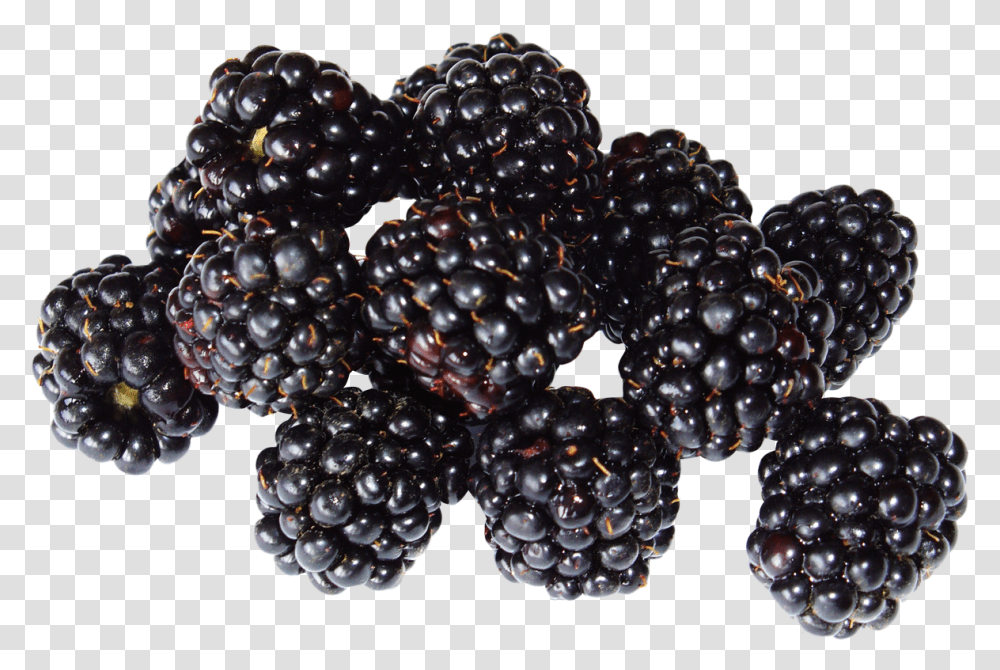 Berries And Vectors For Free Black Raspberry, Plant, Fruit, Food, Blueberry Transparent Png