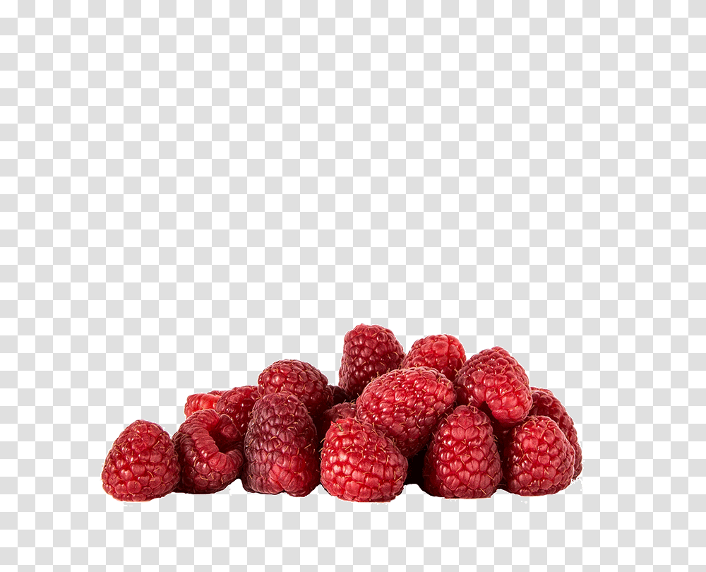 Berries Archives Forber Group Llc, Raspberry, Fruit, Plant, Food Transparent Png