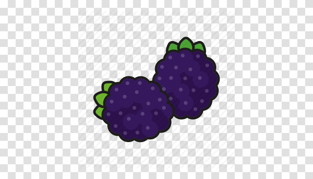 Berries Blackberry Brambleberry Food Fresh Fruit Icon, Plant, Raspberry, Purse, Handbag Transparent Png