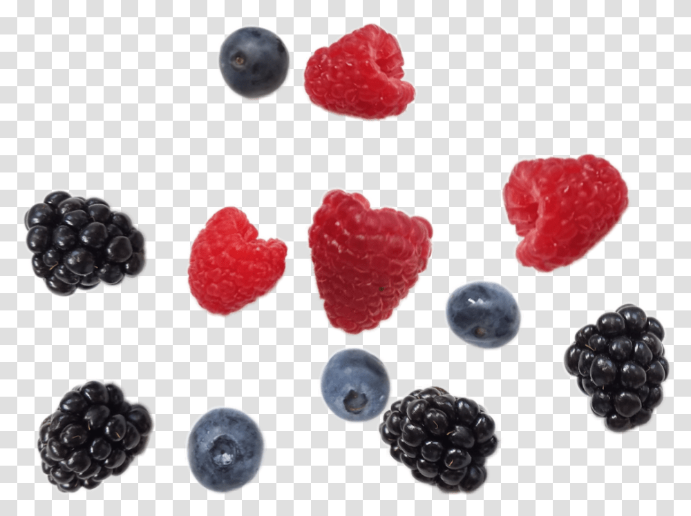 Berries Blueberries Raspberries Blackberries Freshfruits Blackberry, Raspberry, Plant, Food, Sweets Transparent Png