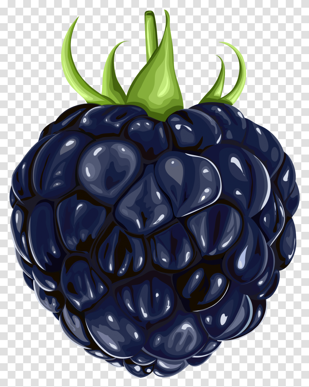 Berries Clipart Blackberry Fruit Blackberry, Plant, Raspberry, Food, Grenade Transparent Png