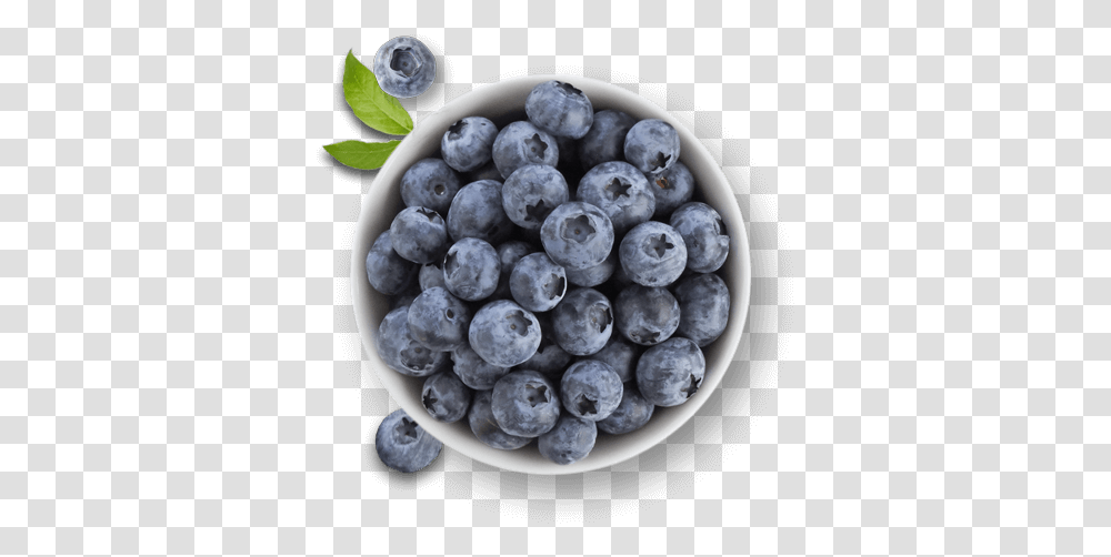 Berries Faqs Driscoll's Blueberry Bowl With Background, Fruit, Plant, Food Transparent Png