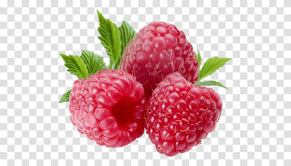 Berries File Berries, Raspberry, Fruit, Plant, Food Transparent Png