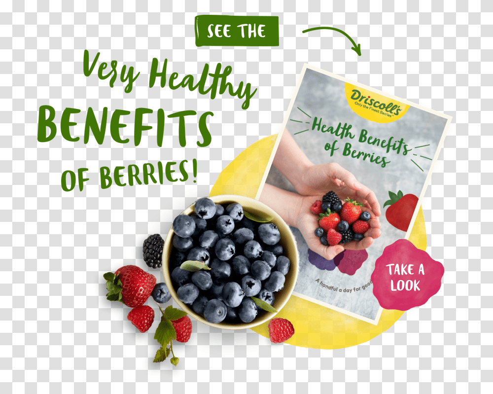 Berries Frutti Di Bosco, Blueberry, Fruit, Plant, Food Transparent Png