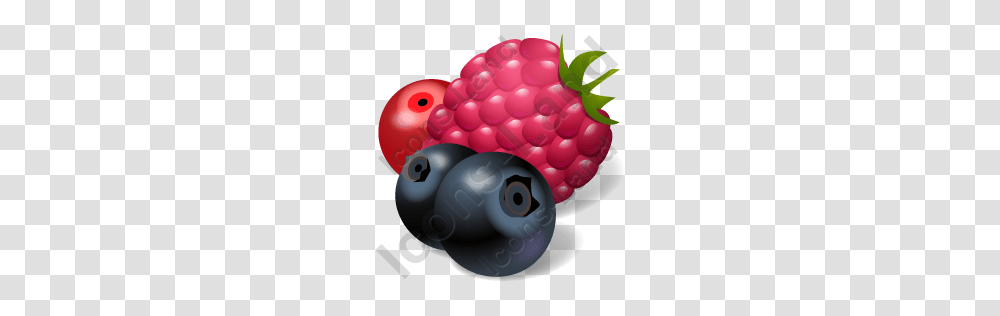 Berries Icon Pngico Icons, Plant, Bowling, Photography, Fruit Transparent Png