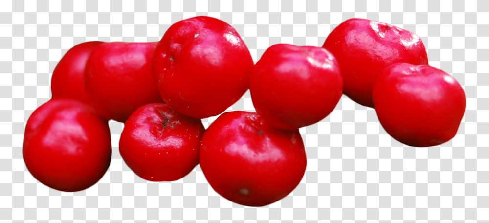 Berries Images, Plant, Fruit, Food, Cherry Transparent Png