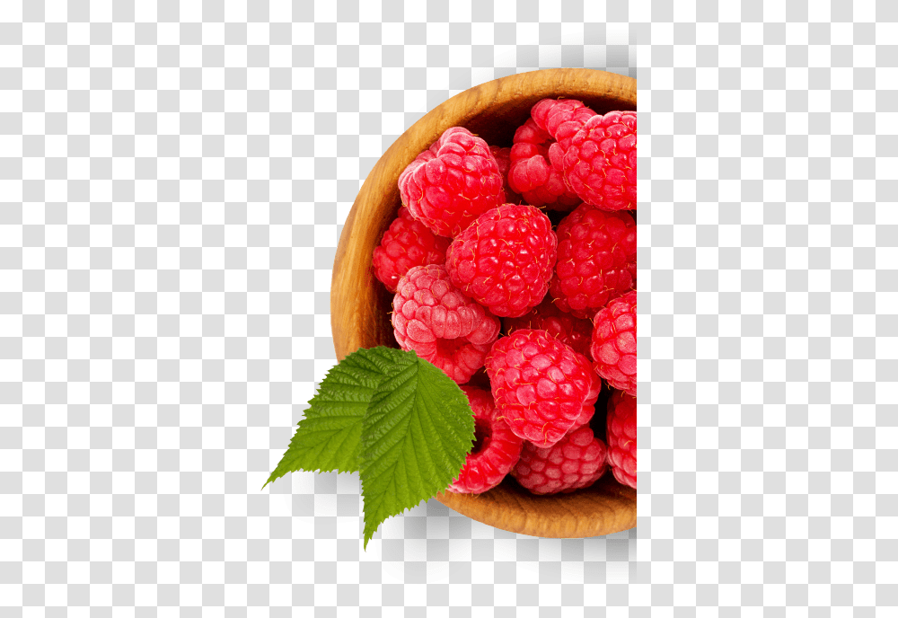 Berries Little Graces, Raspberry, Fruit, Plant, Food Transparent Png