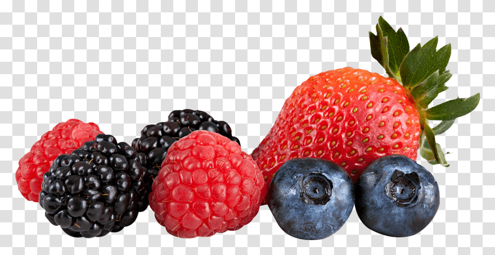 Berries Mixed Berries, Plant, Blueberry, Fruit, Food Transparent Png