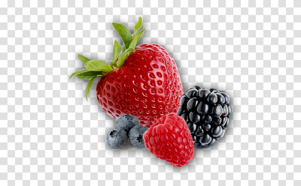 Berries Picture Berries, Plant, Strawberry, Fruit, Food Transparent Png