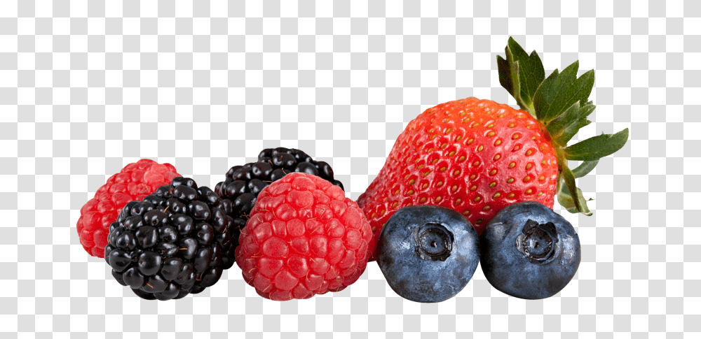 Berries, Plant, Blueberry, Fruit, Food Transparent Png
