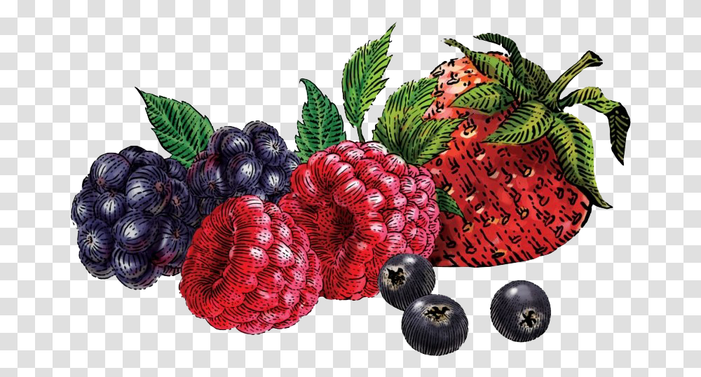 Berries Siggis Yogurt Mixed Berry, Plant, Fruit, Food, Raspberry Transparent Png