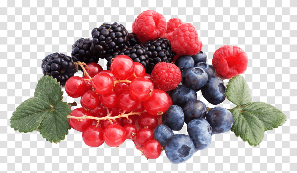 Berries Transparent Png