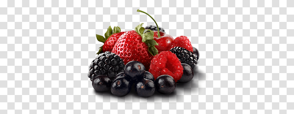 Berriespng 522405 Frutti Di Bosco, Plant, Blueberry, Fruit, Food Transparent Png