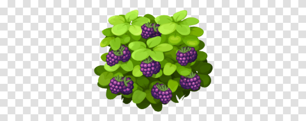 Berry Bush Images - Free Vector Artificial Flower, Plant, Fruit, Food, Grapes Transparent Png