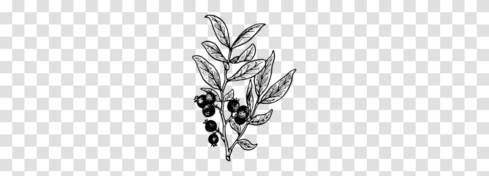 Berry Clipart, Gray, World Of Warcraft Transparent Png
