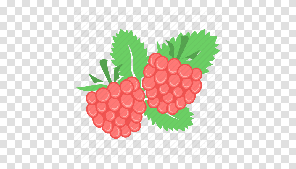 Berry Food Fruit Raspberries Raspberry Icon, Plant, Strawberry Transparent Png