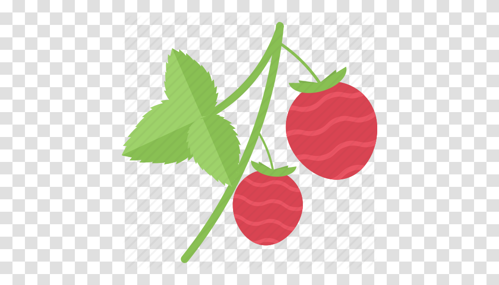 Berry Food Groats Seeds Sheet Icon, Plant, Fruit, Cherry, Radish Transparent Png