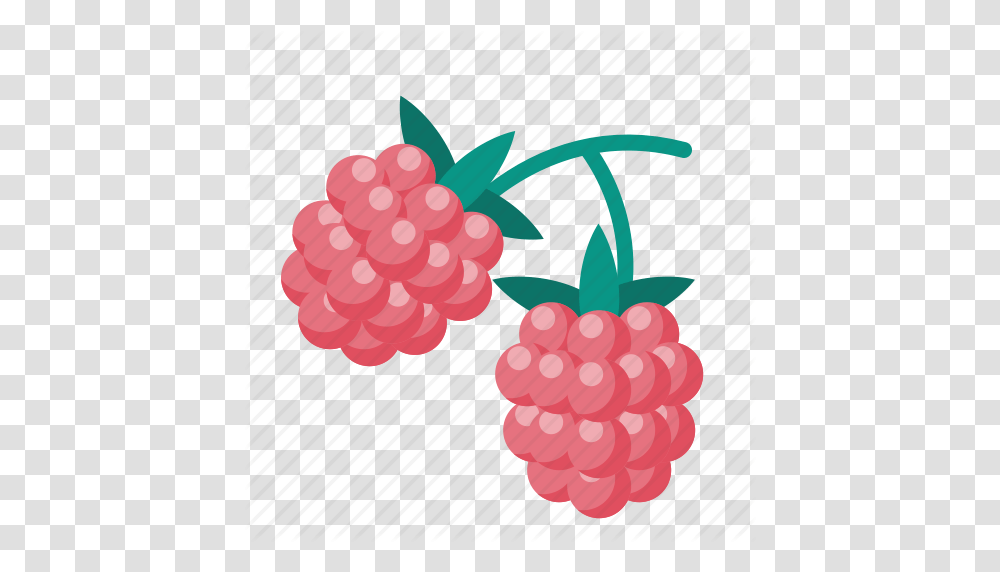 Berry Food Raspberries Icon, Plant, Fruit, Raspberry, Grapes Transparent Png