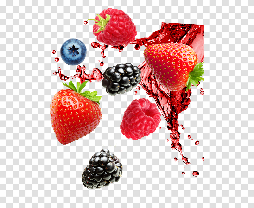 Berry Juice Splash Berries, Raspberry, Fruit, Plant, Food Transparent Png
