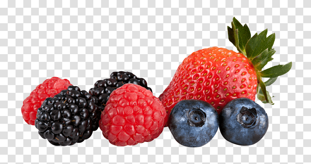 Berry Mix Image, Fruit, Plant, Blueberry, Food Transparent Png