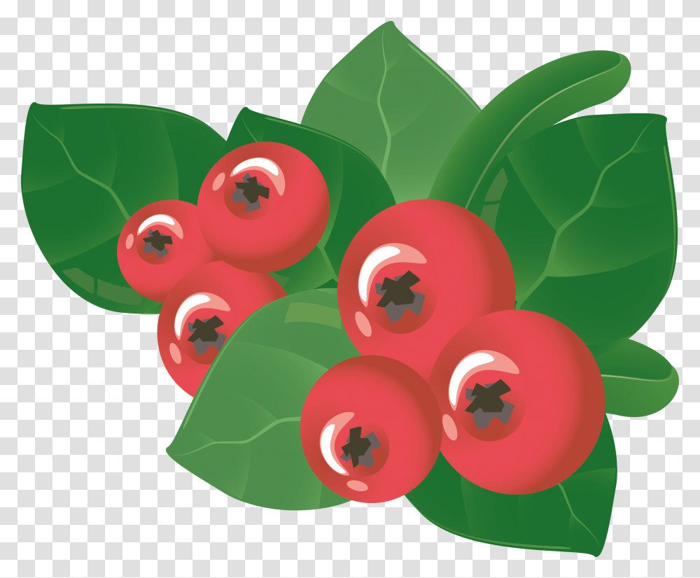 Berry, Plant, Fruit, Food, Cherry Transparent Png