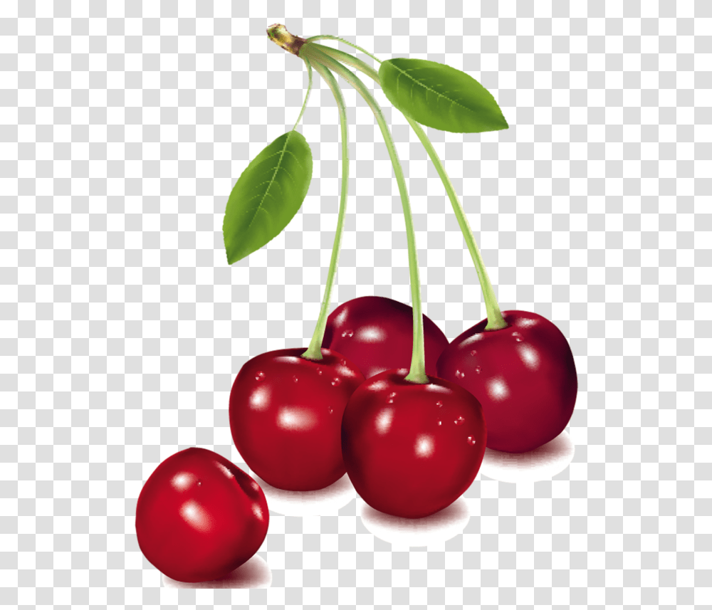 Berry Vector Cherry Fruit Cherry Fruits, Plant, Food Transparent Png