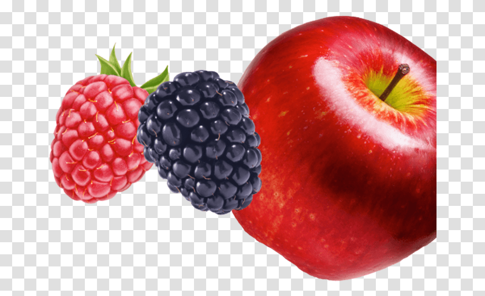 Berry Vector Mix Fruit & Clipart Free Apple And Berries Clipart, Plant, Food, Raspberry, Strawberry Transparent Png