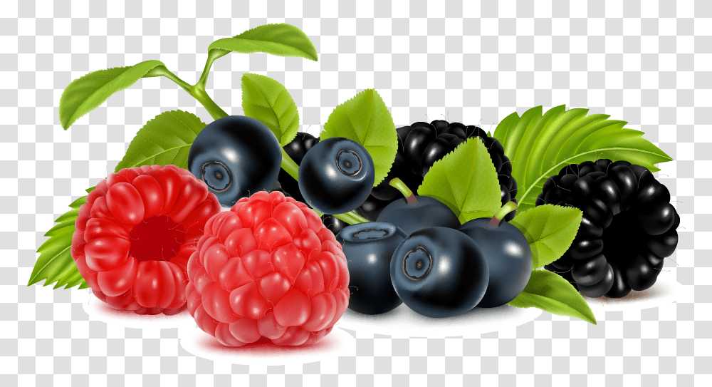 Berry Vector Mixed Picture Berries Clipart, Plant, Blueberry, Fruit, Food Transparent Png