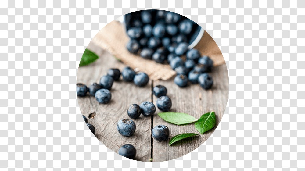 Berryco Bilberry, Blueberry, Fruit, Plant, Food Transparent Png