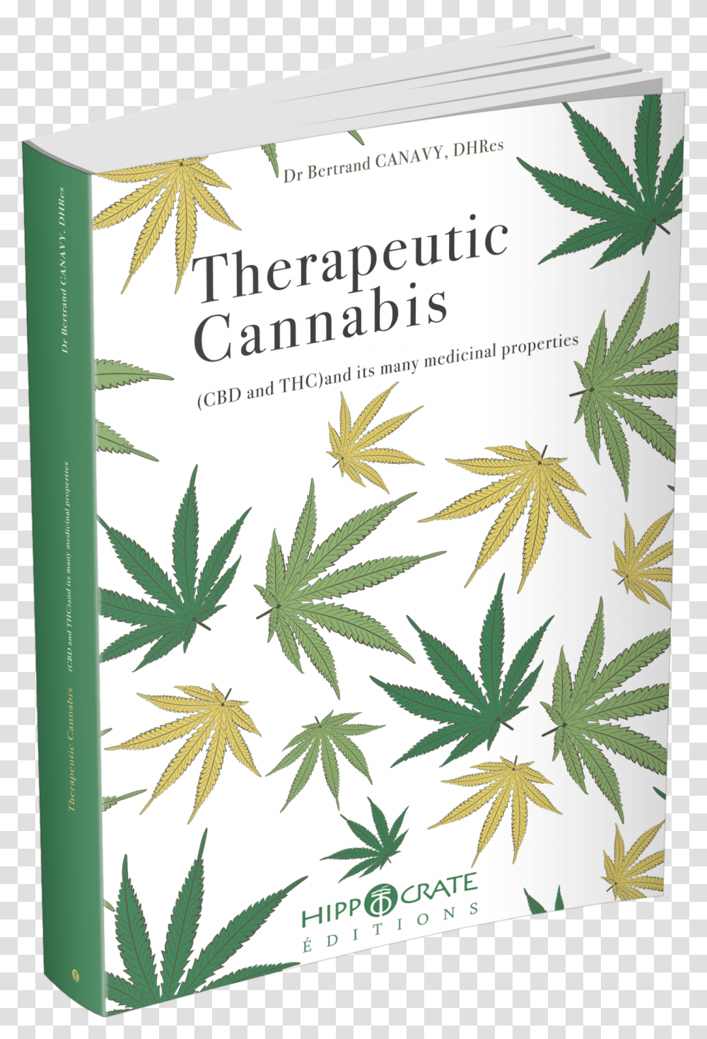 Bertrand Canavy Cannabis Therapeutique Eng Art, Plant, Weed, Hemp, Herbal Transparent Png