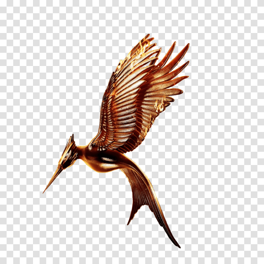 Best 15 Catching Fire Movie Logo Without Ring By Hunger Games Mockingjay Bird, Animal, Flying, Sea Life, Invertebrate Transparent Png