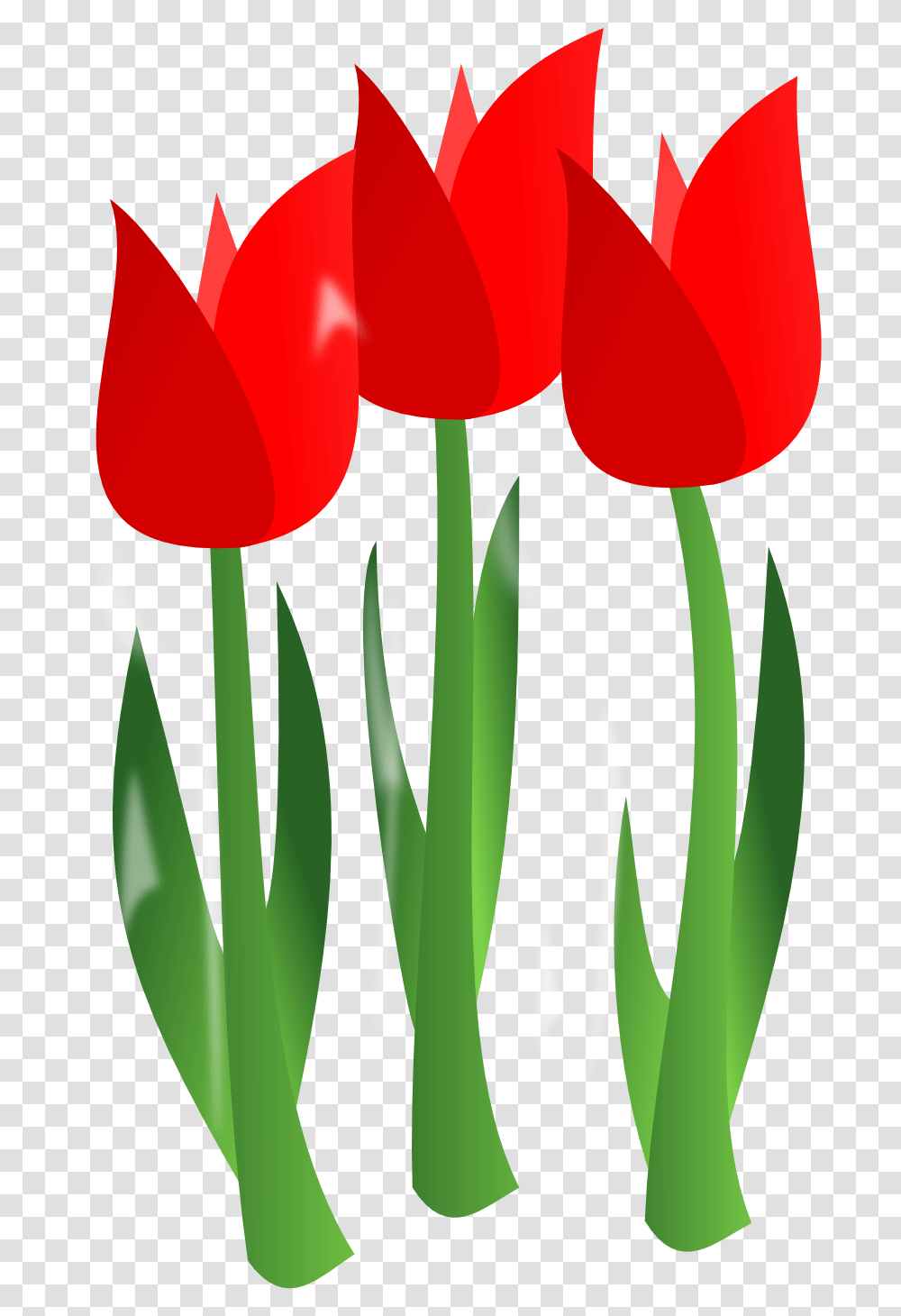 Best April Clip Art 3077 Clipartioncom Clip Art April Flowers, Plant, Blossom, Tulip Transparent Png