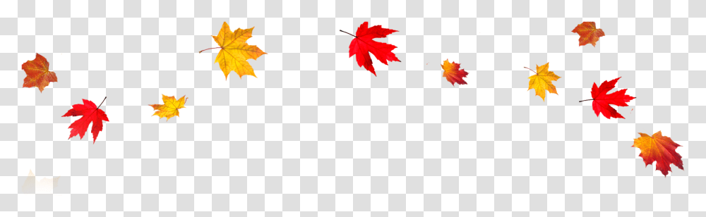 Best Background Clipart Falling Leaves Background, Leaf, Plant, Tree, Maple Leaf Transparent Png