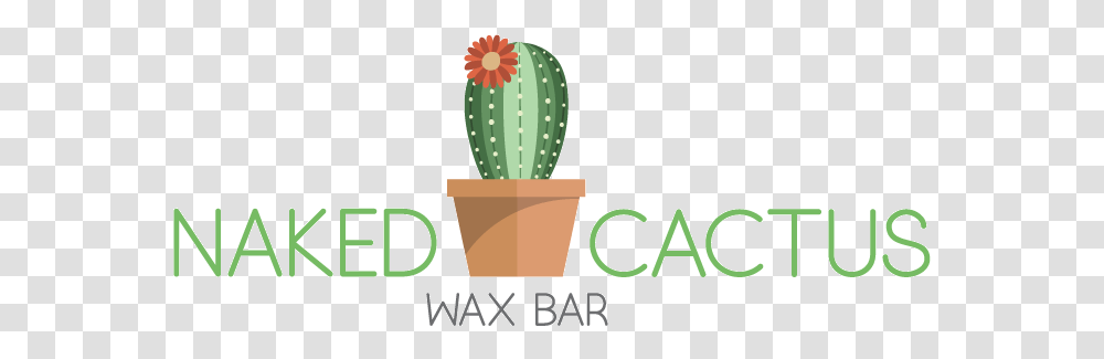 Best Brazilian Wax Flowerpot, Plant, Cactus Transparent Png