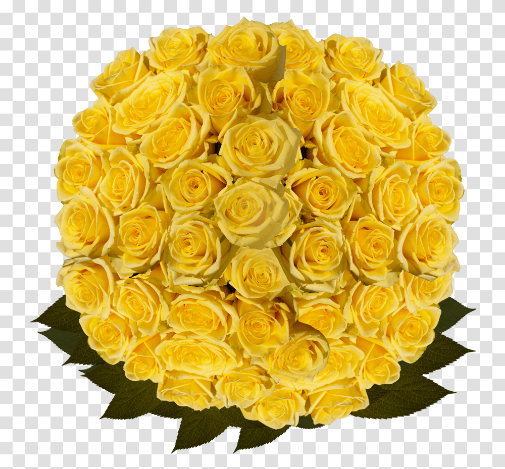Best Bulk Yellow Roses Floribunda, Plant, Flower, Blossom, Flower Arrangement Transparent Png