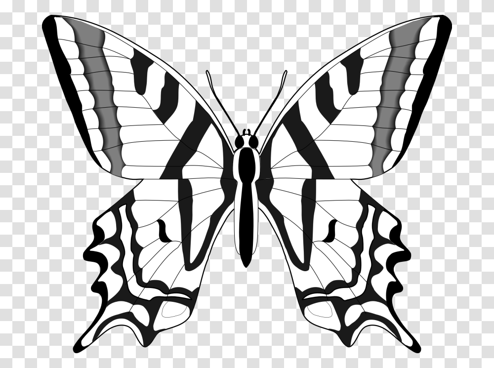 Best Butterfly Clipart Black And White, Insect, Invertebrate, Animal, Stencil Transparent Png