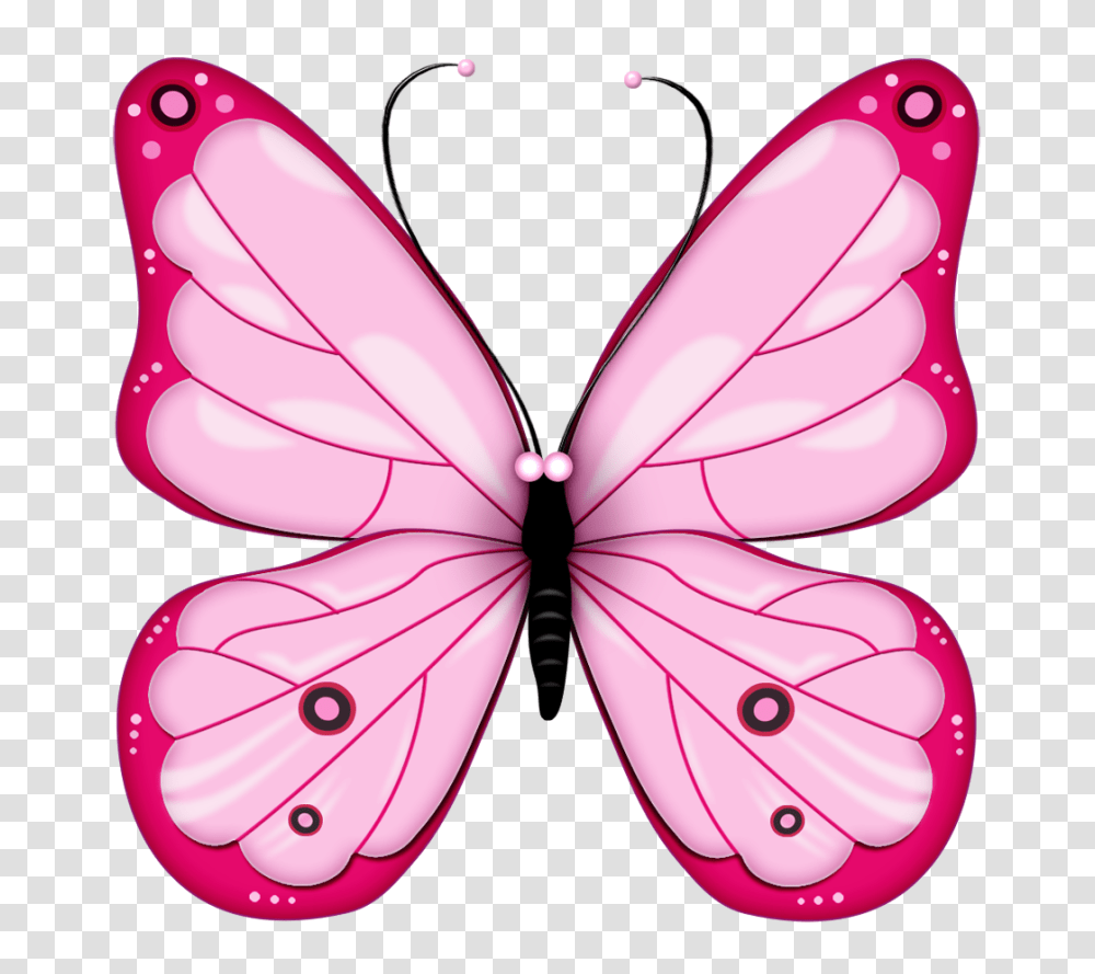 Best Butterfly Clipart, Petal, Flower, Plant, Blossom Transparent Png