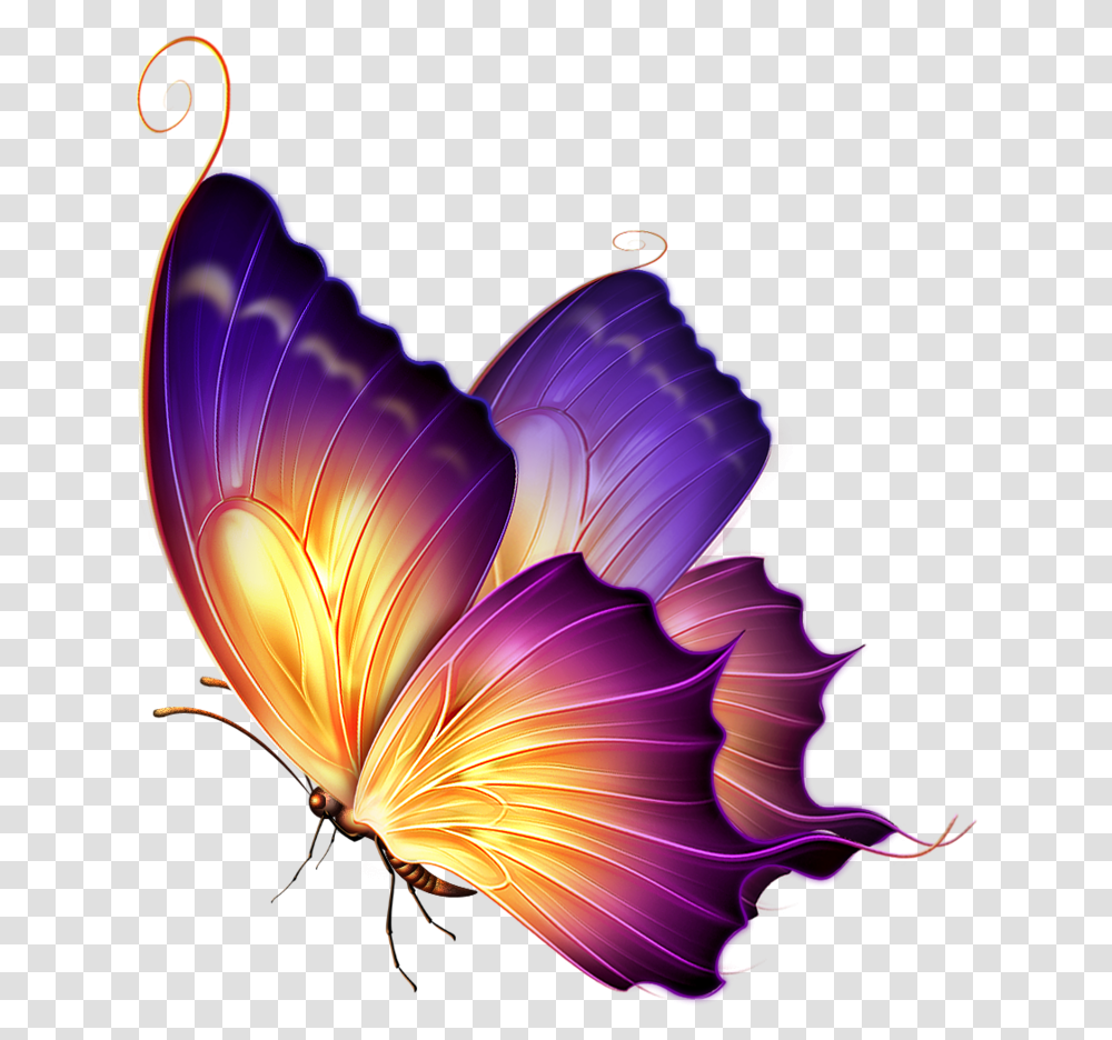 Best Butterfly Download Butterfly For Editing, Ornament, Pattern, Lamp, Fractal Transparent Png