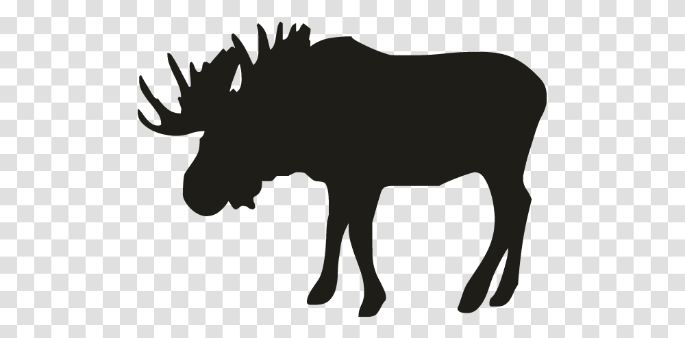 Best Canadian Street Sign, Animal, Mammal, Silhouette, Wildlife Transparent Png