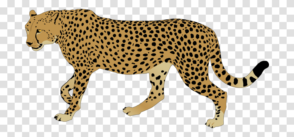 Best Cheetah Clipart, Wildlife, Mammal, Animal, Dinosaur Transparent Png