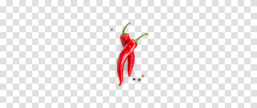 Best Chili Best Chili Images, Plant, Vegetable, Food, Pepper Transparent Png
